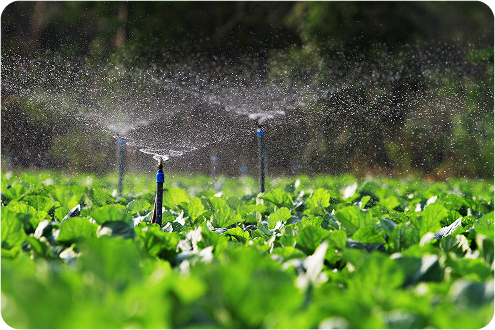 Sprinkler Spraying Water Field Image