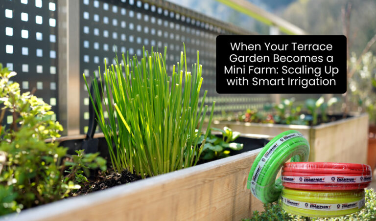When Your Terrace Garden Becomes a Mini Farm: Scaling Up with Smart Irrigation